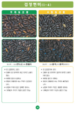 [포토소식]우리농산물 구별법검정현미!