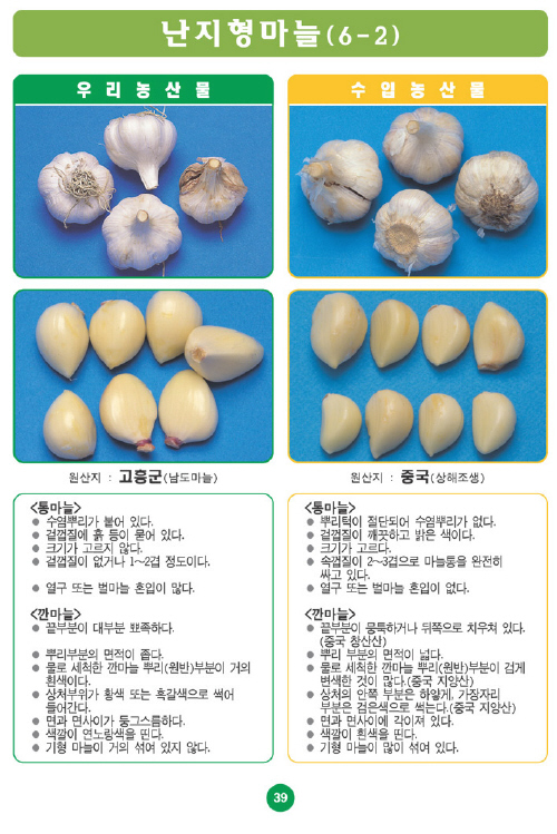 [포토소식]우리농산물 구별법난지형 마늘!!!
