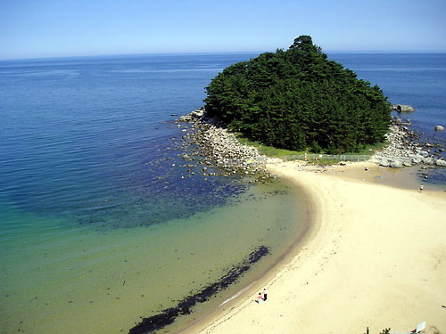 〔한국의 전통음식 이야기〕지역별 전통향토음식 - 강원도