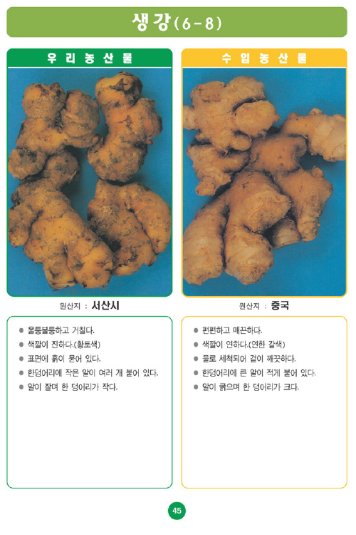 [포토소식]우리농산물 구별법 생강!