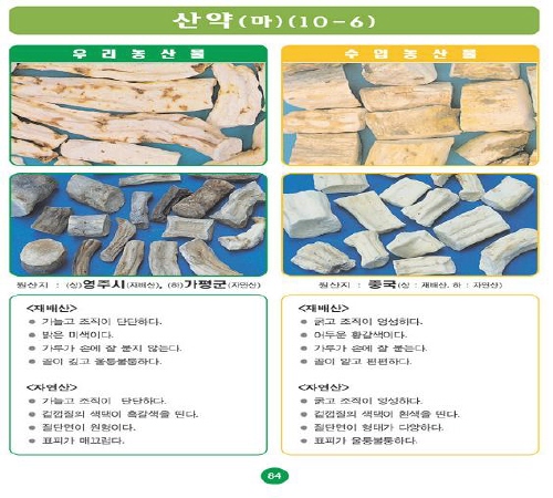 〔포토소식〕우리농산물 구별법 산약(마)!!