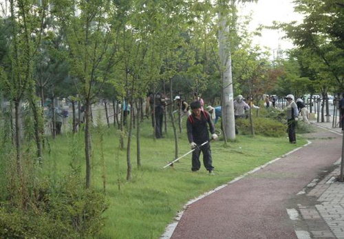 새마을운동경산시지회 봉사활동! 이틀간 관내 시설녹지지역..