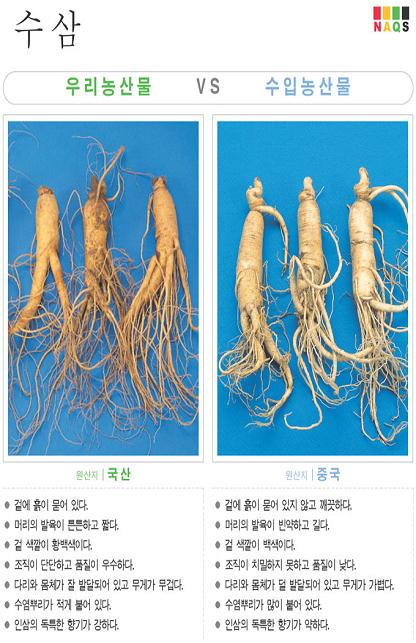 [포토소식] '수삼' 사진으로 알아보는 우리농산물 구별..