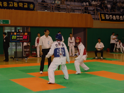 제19회 경북도지사기 태권도대회11개 시·군 대표 19..