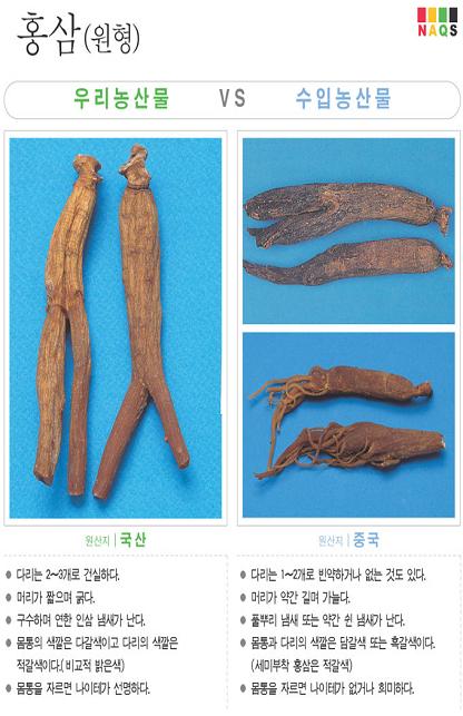 [포토소식] '홍삼(원형)'사진으로 알아보는 우리농산물..