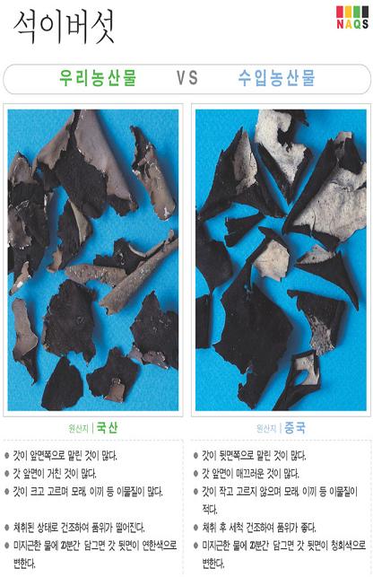 [포토소식] '석이버섯' 사진으로 알아보는 우리농산물 ..