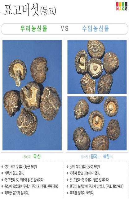 [포토소식] '표고버섯(동고)' 사진으로 알아보는 우리..