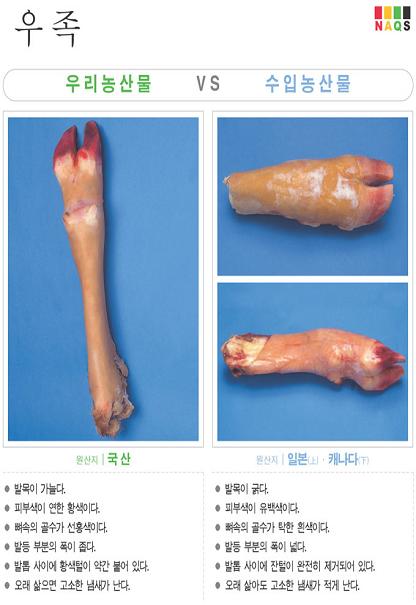 [포토소식] '우족'  사진으로 알아보는 우리농축산물 ..