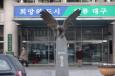 대구시 간부공무원 폭행(?) 사건 박모씨, “폭행 당했..