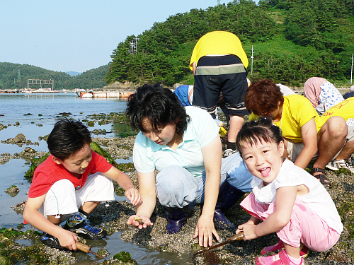 “경남 통영으로 바지락 캐러 오세요” 학림섬마을 ‘바지..