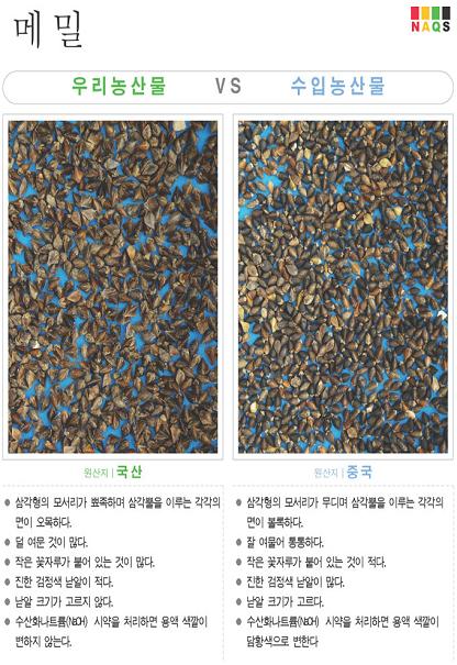 [포토소식]'메밀'사진으로 알아보는 우리농축산물 구별법