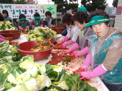 새마을운동시지회 김장 담그기 행사 2,500포기 김치,..