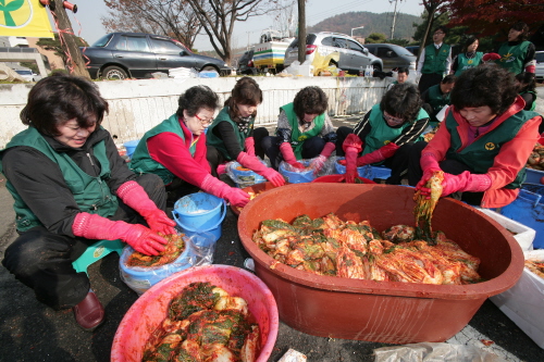 겨울 식단… 김장김치가 필수! 20~30 여성들, “부..