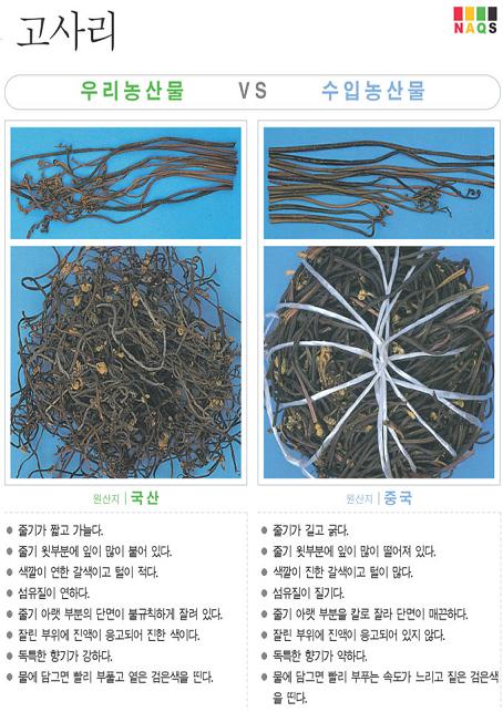 [포토뉴스]'고사리'사진으로 알아보는 우리 농축산물 구..
