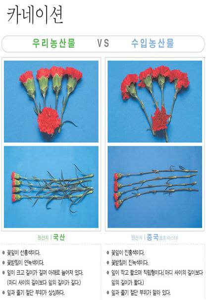 [포토뉴스] '카네이션'사진으로 알아보는 우리 농축산물..