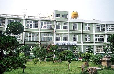 자인초교 인조 잔디 조성 유해성 논란 일부 학부모 “아..