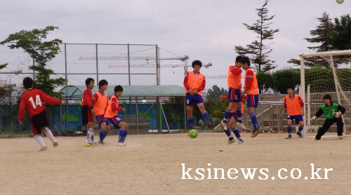 제8회 경산교육장기 학생 축구대회 초·중·고교 총 23..