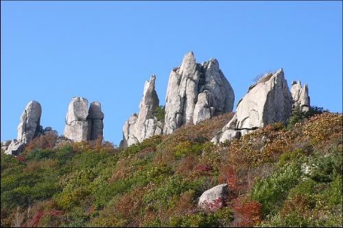 초겨울 추천 산행 '천관산'단풍과 억새 군락을 볼 수 ..