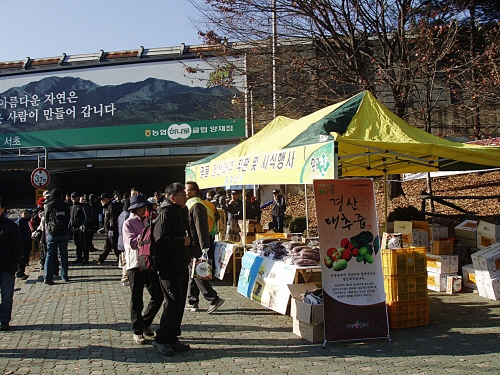 ‘경산대추’ 수도권 판로개척에 나서! 수도권 4개 등산..