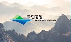 봄, 국립공원에는 어떤 꽃이 필까? 전국 19개 공원별..