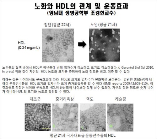 영대, 세계 최초 ‘노화진단법’ 개발 혈액 추출 노화진..