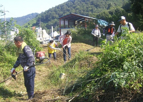 남천면, 공동묘지 무연고 분묘 ‘벌초’ 공무원 및 환경..