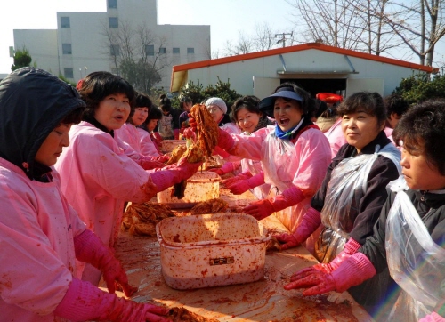 경산여협, 김장담그기 자원봉사 대동시온재활원에서 김장 ..