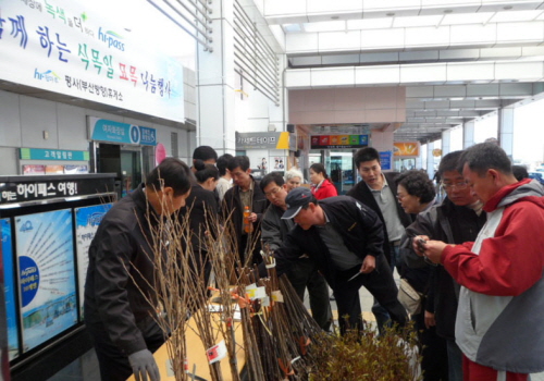 평사휴게소, 식목일 ‘묘목나눔’ 행사 묘목 1,000그..