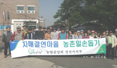 농협 경산시지부 ‘농가 일손 돕기’ 압량면 백안리 마을..