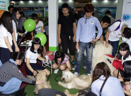 경산시 부산국제관광적 ‘최우수 진흥상’ 경산 삽살개·갓..