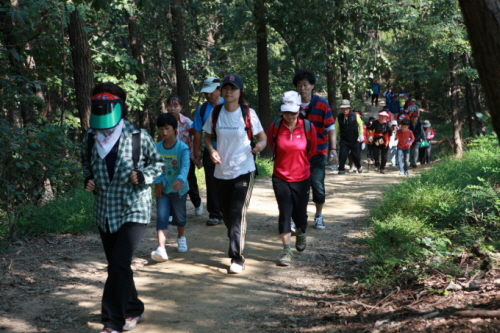 ‘잘하면 약, 못하면 독’ 등산 바로알기 [건강상식] ..