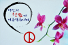 선관위 ‘설·대보름 특별단속’ 실시 ~27일까지 특별 ..