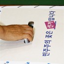 “어떤 동네에서 누가 표를 얼마나?” 제19대 국회의원..