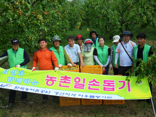 태풍 ‘산바’ 피해 농촌 일손돕기 한국농어촌공사 경산지..