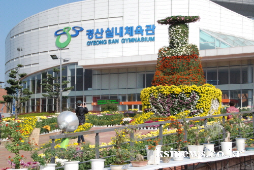 제7회 경산 국화전시회 개막!! 경산시 소장 국화 3,..