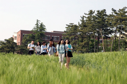 대구대, 캠퍼스 청보리밭 시민들에 개방 경산캠퍼스 서문..