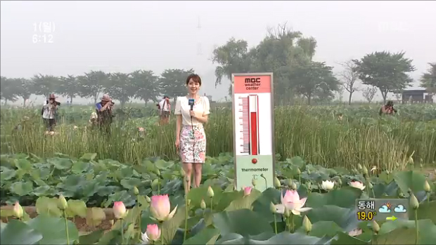 한 주 내내 장맛비...더위 잠시 주춤 [경산지역 주간..