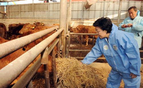 경산시, 한우 FTA보전직불금 신청·접수 대상농가 9월..