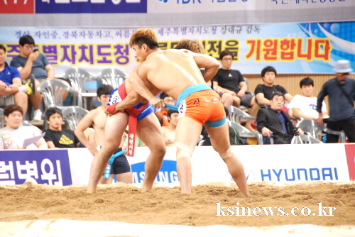 2013 추석장사 씨름대회 경산서 개막! ~21일까지 ..