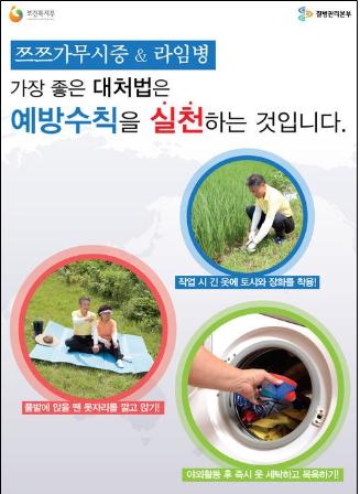 가을철 3대 발열성 질환 [한국건강관리협회 대구지부 건..