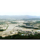 경북도 국·과장급 승진·전보 인사 대변인 권영길, 도청..