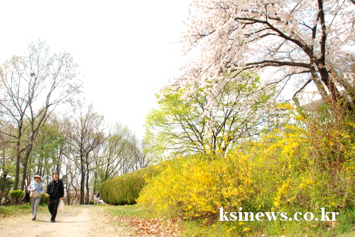 대체로 맑고 포근...주말에 봄비 [경산지역 주간 날씨..