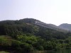 경산시, 소나무재선충병 항공방제 5~7월 중 5회에 걸..