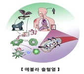에볼라출혈열 감염 예방수칙 준수해야 감염된 사람의 혈액..