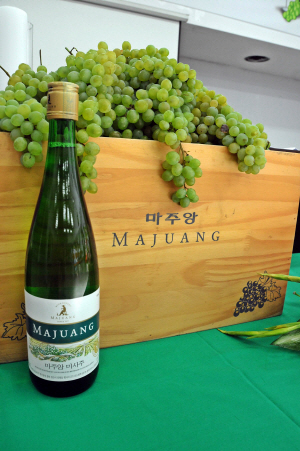 경산서 생산된 ‘마주앙’ 교황 미사주로! 롯데주류 제품..
