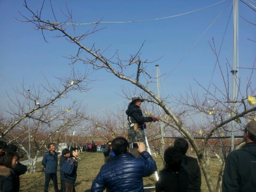 ‘복숭아 재배 및 6차 산업’ 수강생 모집 올해 경산농..
