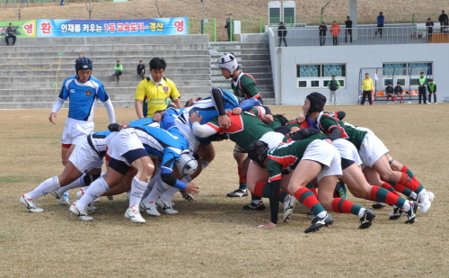 경산 럭비동호인 화합한마당대회 열려 ‘경산시 생활체육 ..