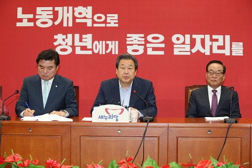 김무성 '새정치 혁신안 반혁신적' 친박계, 오픈프라이머..
