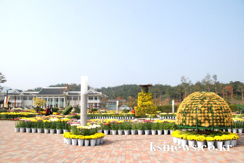 삼성현공원 수놓는 ‘국화의 향연’ 제10회 경산시 국화..
