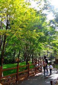 봄철 안전산행을 위한 등산 가이드 [건강상식] 한국건강..